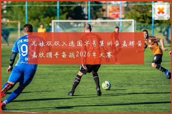 兄妹双双入选国字号集训黄嘉辉黄嘉欣携手备战2026年大赛